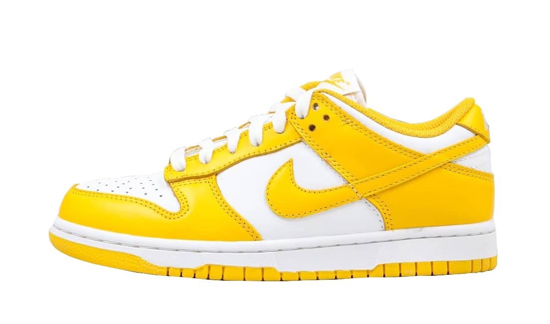 Nike SB Dunk Low